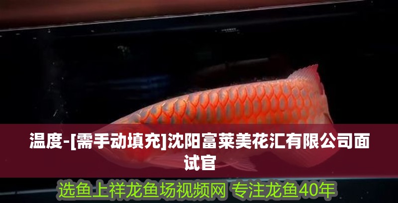 溫度-[需手動填充]沈陽富萊美花匯有限公司面試官