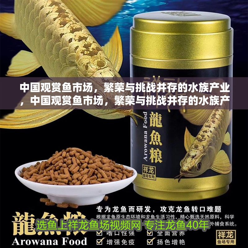 中國觀賞魚市場，繁榮與挑戰并存的水族產業，中國觀賞魚市場，繁榮與挑戰并存的水族產業