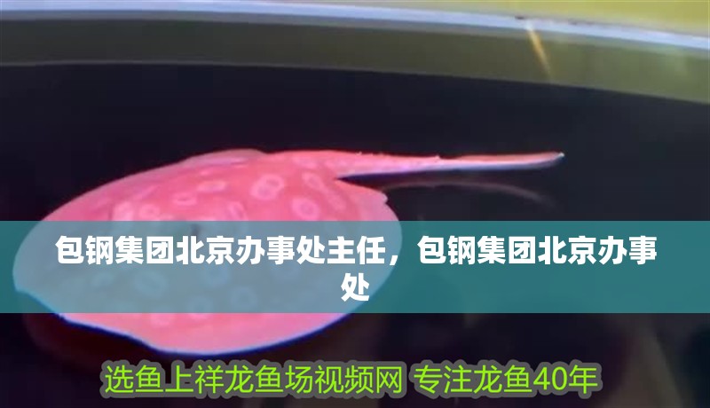 包鋼集團北京辦事處主任，包鋼集團北京辦事處