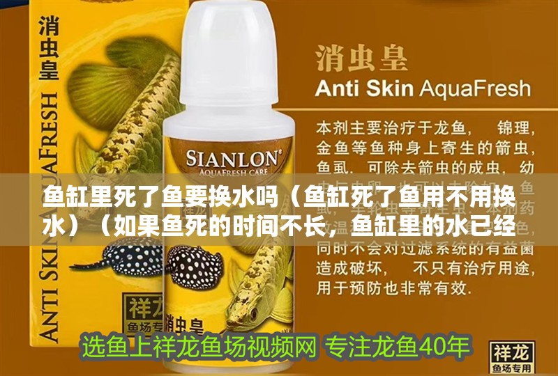 魚缸里死了魚要換水嗎（魚缸死了魚用不用換水）（如果魚死的時間不長，魚缸里的水已經污染了水質，死亡原因） 魚缸里死了魚要換水嗎（魚缸死了魚用不用換水）（如果魚死的時間不長，魚缸里的水已經污染了水質，死亡原因） 魚缸百科