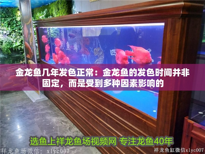 金龍魚幾年發色正常：金龍魚的發色時間并非固定，而是受到多種因素影響的