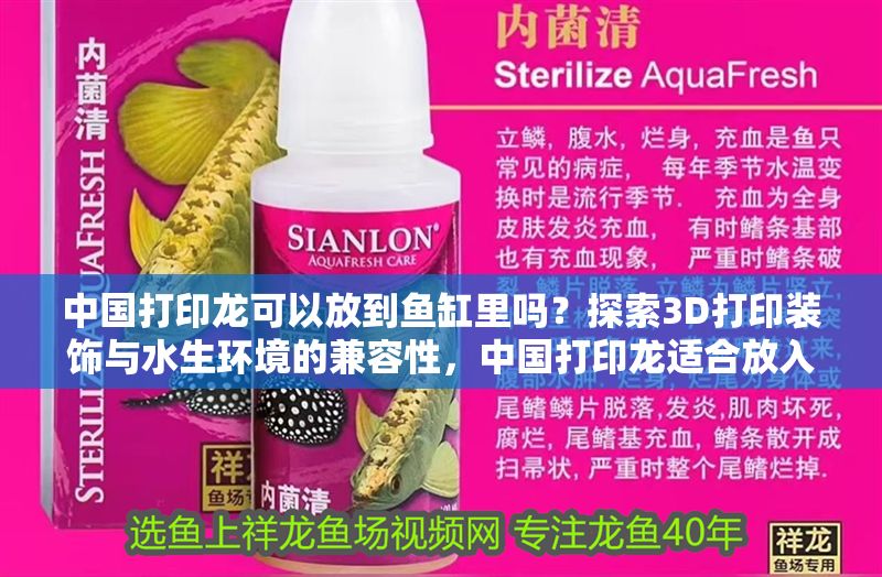 中國打印龍可以放到魚缸里嗎？探索3D打印裝飾與水生環境的兼容性，中國打印龍適合放入魚缸嗎？解析3D打印裝飾對水生環境的影響