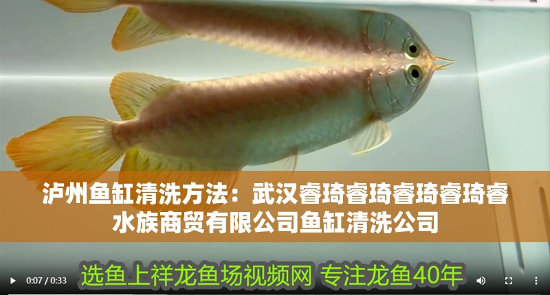 瀘州魚缸清洗方法：武漢睿琦睿琦睿琦睿琦睿水族商貿(mào)有限公司魚缸清洗公司