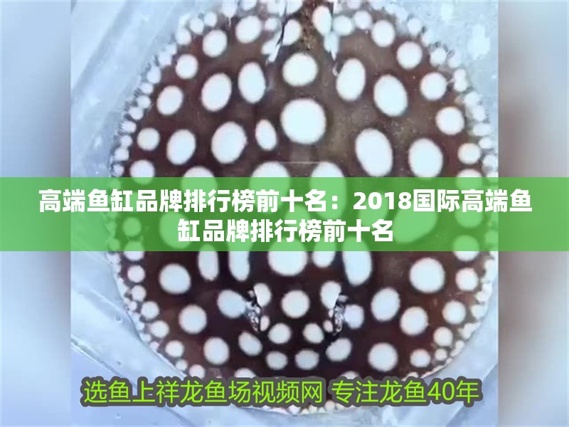 高端魚缸品牌排行榜前十名：2018國際高端魚缸品牌排行榜前十名