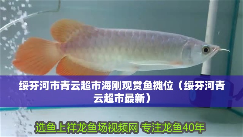 綏芬河市青云超市海剛觀賞魚攤位（綏芬河青云超市最新）