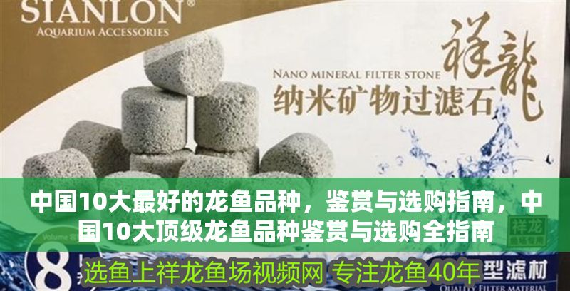 中國10大最好的龍魚品種，鑒賞與選購指南，中國10大頂級龍魚品種鑒賞與選購全指南