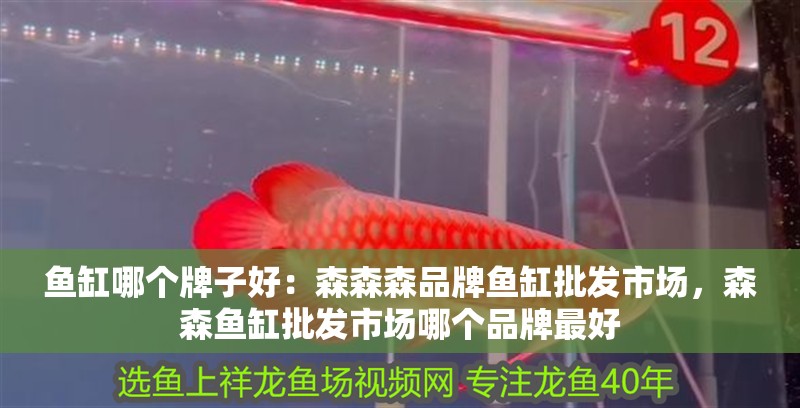 魚缸哪個牌子好：森森森品牌魚缸批發市場，森森魚缸批發市場哪個品牌最好
