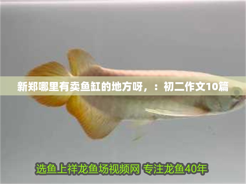 新鄭哪里有賣魚缸的地方呀，：初二作文10篇