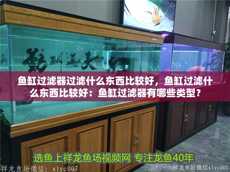 魚缸過濾器過濾什么東西比較好，魚缸過濾什么東西比較好：魚缸過濾器有哪些類型？