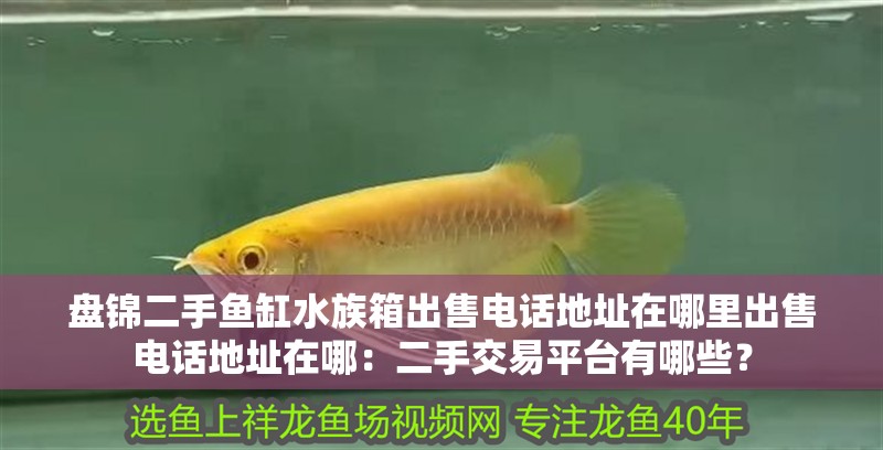 盤錦二手魚缸水族箱出售電話地址在哪里出售電話地址在哪：二手交易平臺有哪些？