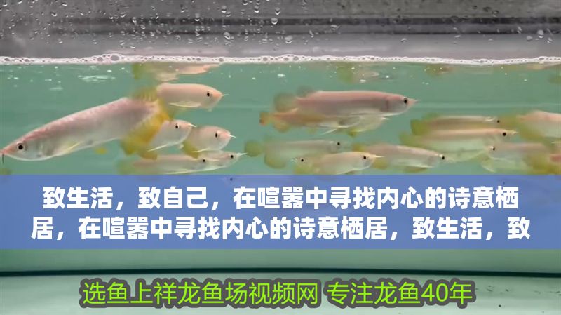 致生活，致自己，在喧囂中尋找內心的詩意棲居，在喧囂中尋找內心的詩意棲居，致生活，致自己