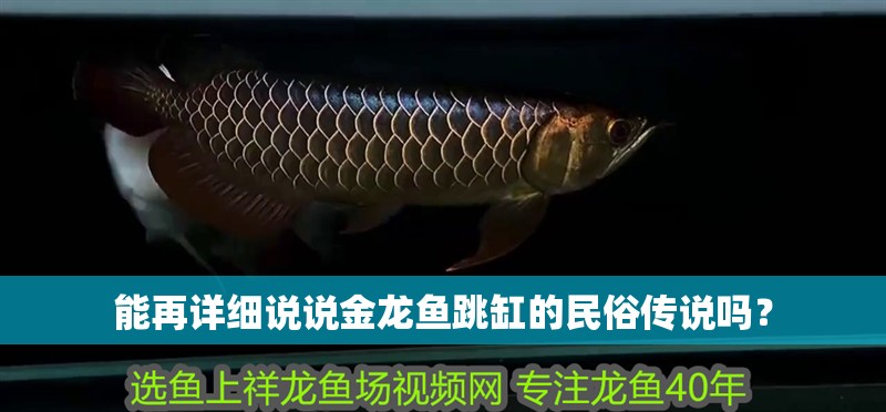 能再詳細說說金龍魚跳缸的民俗傳說嗎？