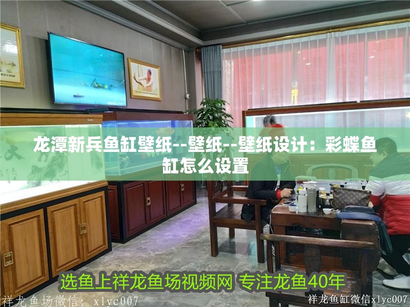 龍?zhí)缎卤~缸壁紙--壁紙--壁紙設計：彩蝶魚缸怎么設置