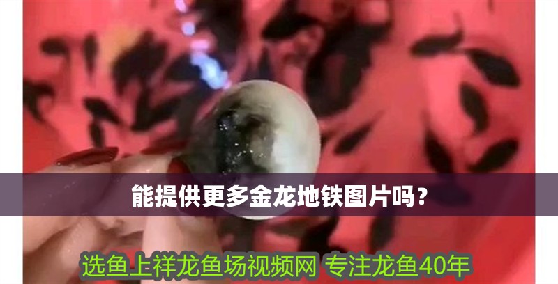 能提供更多金龍地鐵圖片嗎？