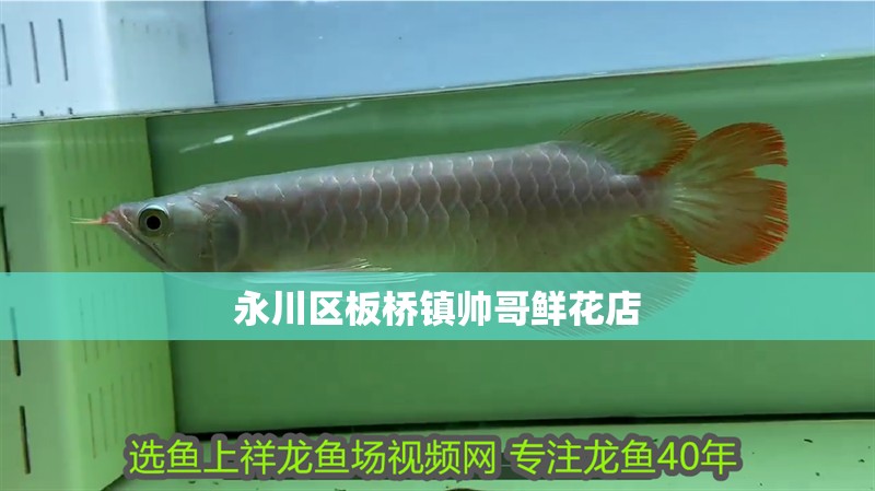 永川區板橋鎮帥哥鮮花店