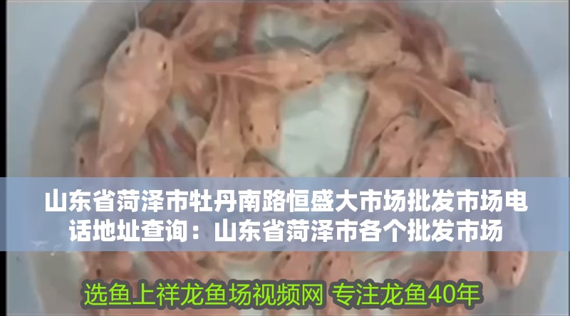 山東省菏澤市<strong><mark>牡丹</mark></strong>南路恒盛大市場批發(fā)市場電話地址查詢：山東省菏澤市各個批發(fā)市場