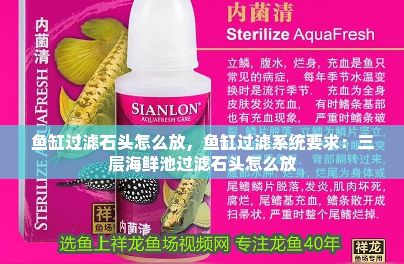 魚缸過濾石頭怎么放，魚缸過濾系統要求：三層海鮮池過濾石頭怎么放