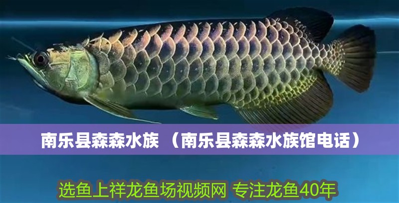 南樂縣森森水族 （南樂縣森森水族館電話）