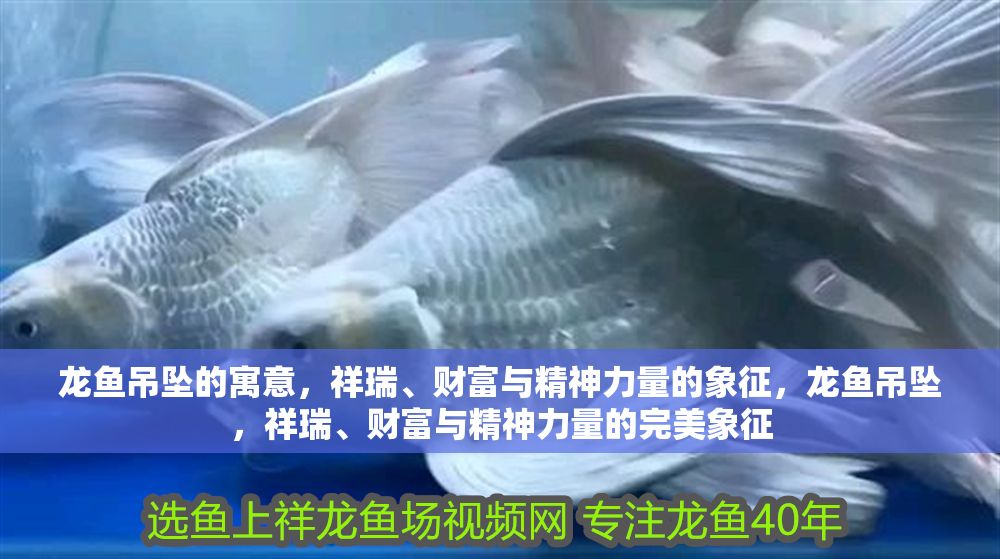 龍魚吊墜的寓意，祥瑞、財富與精神力量的象征，龍魚吊墜，祥瑞、財富與精神力量的完美象征