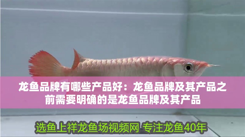 我的虎魚真菌感染了要怎么處理 龍魚品牌有哪些產品好:龍魚品牌及其產品之前需要明確的是龍魚品牌及其產品 龍魚百科 龍魚品牌有哪些產品好:龍魚品牌及其產品之前需要明確的是龍魚品牌及其產品 龍魚品牌有哪些產品好:龍魚品牌及其產品之前需要明確的是龍魚品牌及其產品 龍魚百科