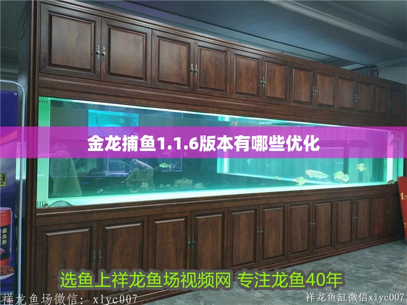 金龍捕魚1.1.6版本有哪些優化