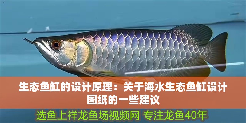 生態魚缸的設計原理：關于海水生態魚缸設計圖紙的一些建議