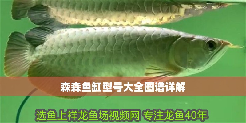 森森魚缸型號大全圖譜詳解