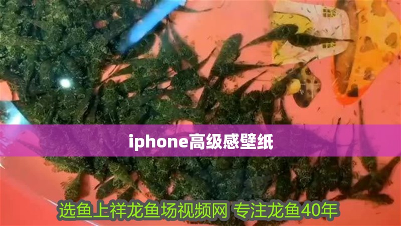 iphone高級(jí)感壁紙