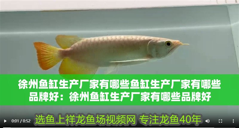 徐州魚缸生產(chǎn)廠家有哪些魚缸生產(chǎn)廠家有哪些品牌好：徐州魚缸生產(chǎn)廠家有哪些品牌好