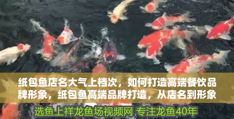 紙包魚店名大氣上檔次，如何打造高端餐飲品牌形象，紙包魚高端品牌打造，從店名到形象的全方位升級策略