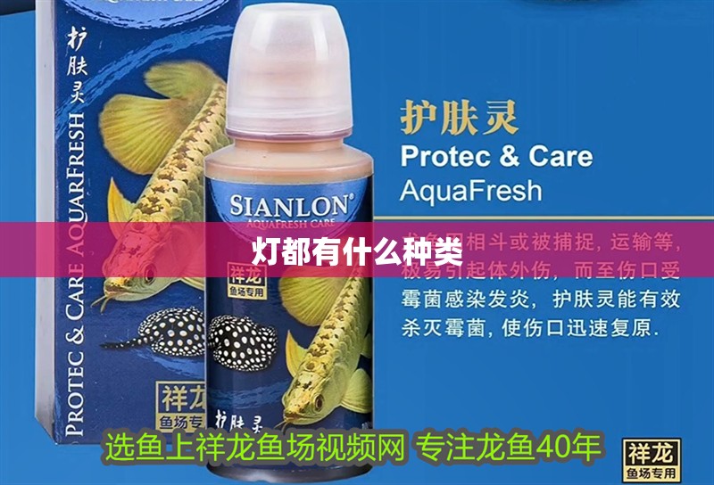 燈都有什么種類