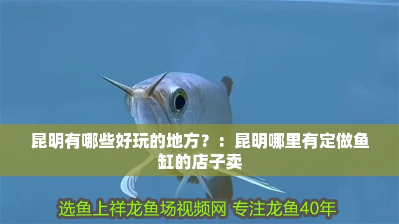 昆明有哪些好玩的地方？：昆明哪里有定做魚缸的店子賣 昆明有哪些好玩的地方？：昆明哪里有定做魚缸的店子賣 魚缸百科