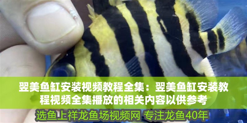 翌美魚缸安裝視頻教程全集：翌美魚缸安裝教程視頻全集播放的相關內容以供參考
