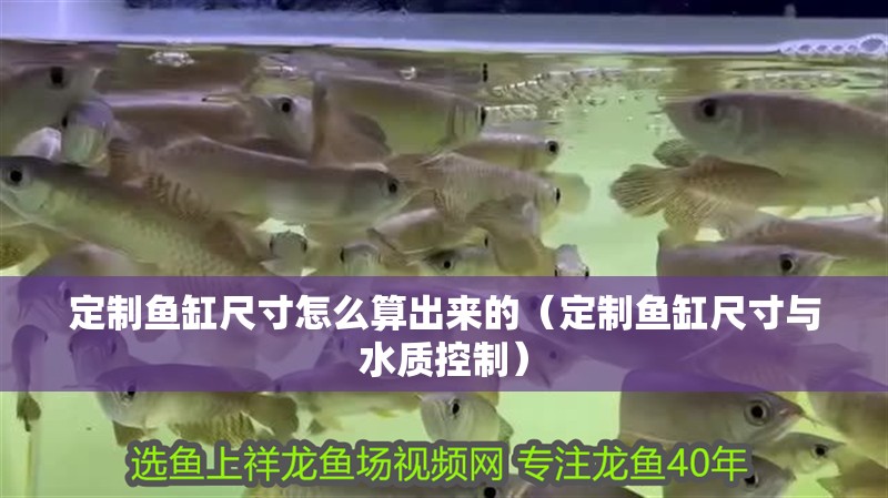 定制魚缸尺寸怎么算出來的（定制魚缸尺寸與水質(zhì)控制）