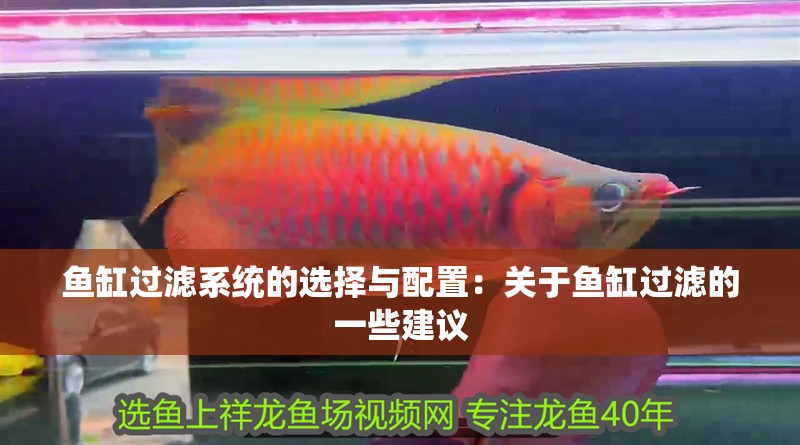 魚缸過濾系統(tǒng)的選擇與配置：關(guān)于魚缸過濾的一些建議