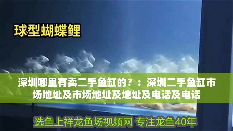 深圳哪里有賣二手魚缸的？：深圳二手魚缸市場(chǎng)地址及市場(chǎng)地址及地址及電話及電話