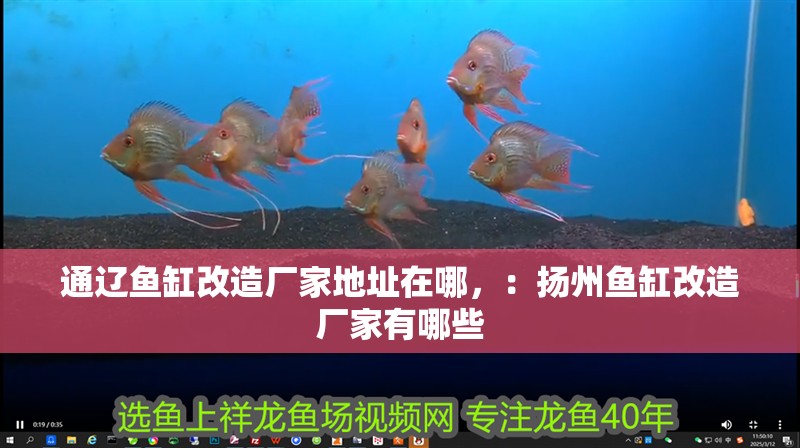 通遼魚缸改造廠家地址在哪，：揚州魚缸改造廠家有哪些