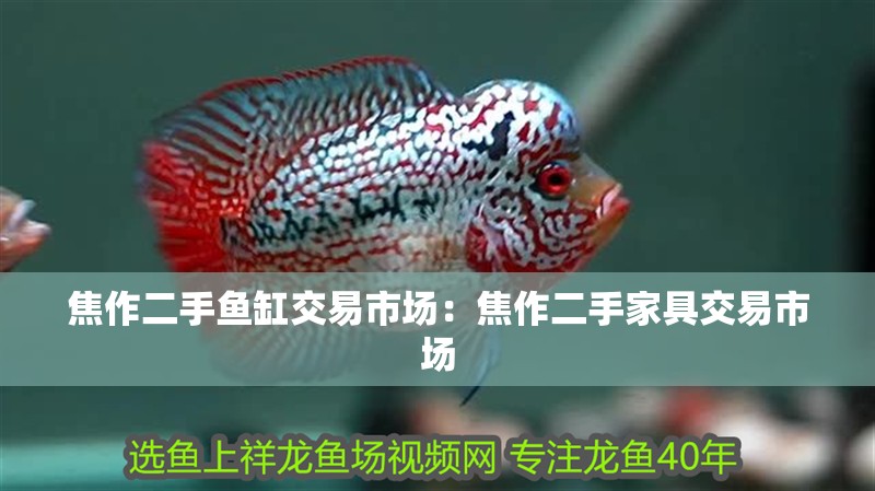 焦作二手魚缸交易市場：焦作二手家具交易市場