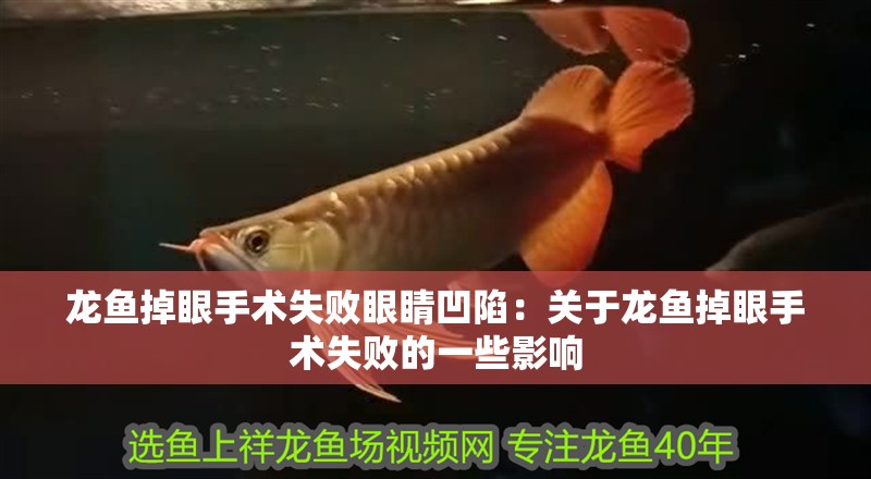 龍魚掉眼手術(shù)失敗眼睛凹陷：關(guān)于龍魚掉眼手術(shù)失敗的一些影響