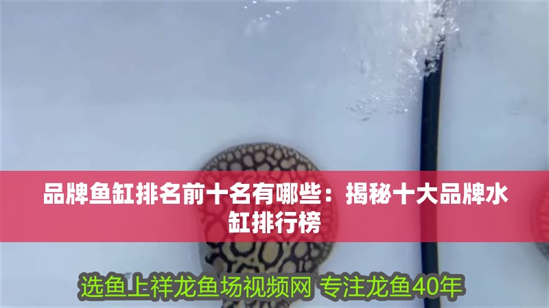 品牌魚缸排名前十名有哪些：揭秘十大品牌水缸排行榜