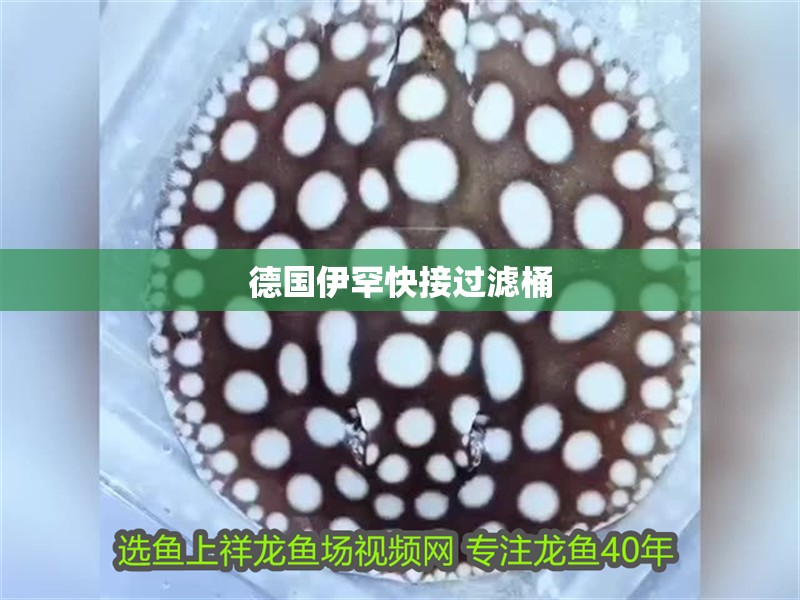 德國伊罕快接過濾桶