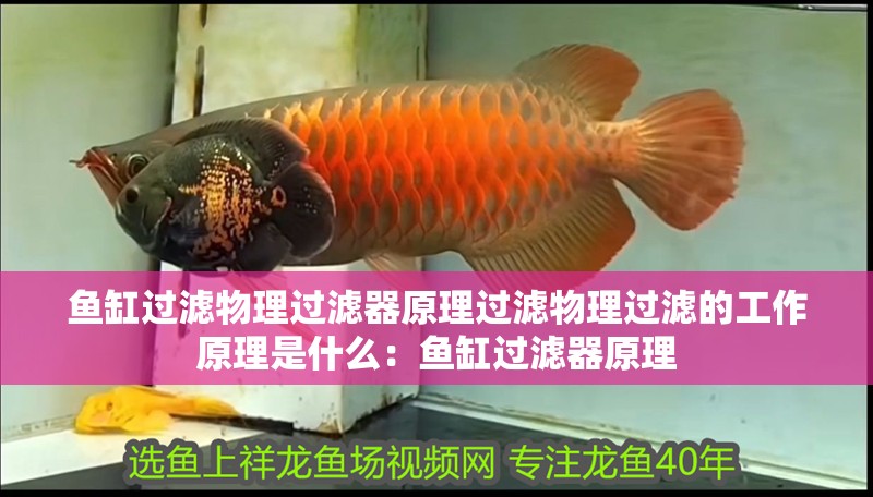 魚缸過濾物理過濾器原理過濾物理過濾的工作原理是什么：魚缸過濾器原理