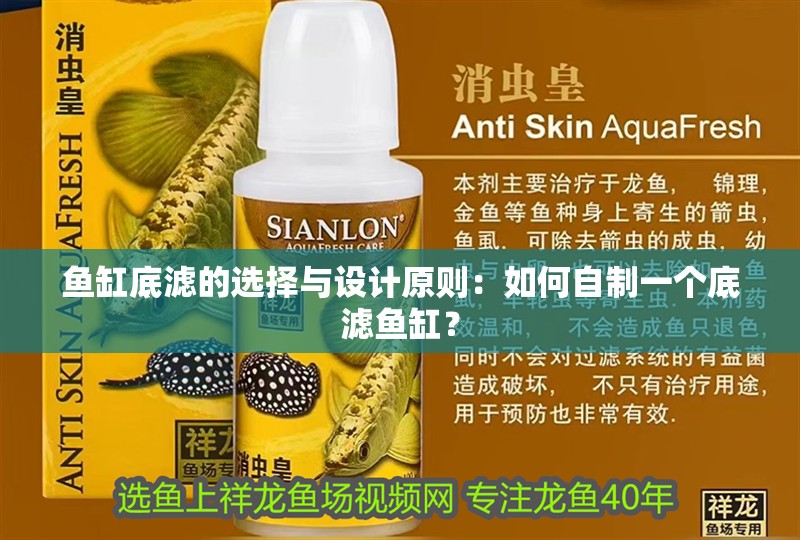 魚缸底濾的選擇與設計原則：如何自制一個底濾魚缸？