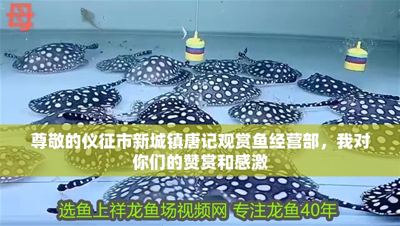 尊敬的儀征市新城鎮唐記觀賞魚經營部，我對你們的贊賞和感激