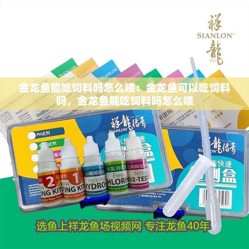 金龍魚能吃飼料嗎怎么喂：金龍魚可以吃飼料嗎，金龍魚能吃飼料嗎怎么喂