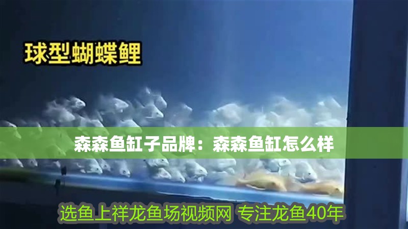 森森魚缸子品牌：森森魚缸怎么樣