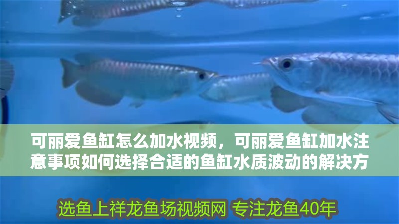 可麗愛魚缸怎么加水視頻，可麗愛魚缸加水注意事項如何選擇合適的魚缸水質波動的解決方法