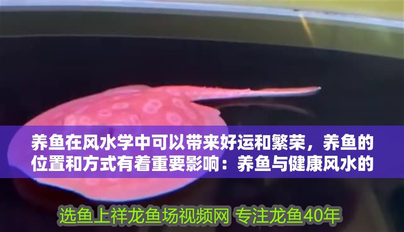 養(yǎng)魚在風(fēng)水學(xué)中可以帶來好運和繁榮，養(yǎng)魚的位置和方式有著重要影響：養(yǎng)魚與健康風(fēng)水的關(guān)系