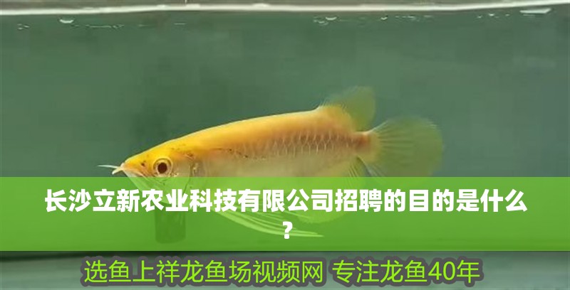 長沙立新農(nóng)業(yè)科技有限公司招聘的目的是什么？