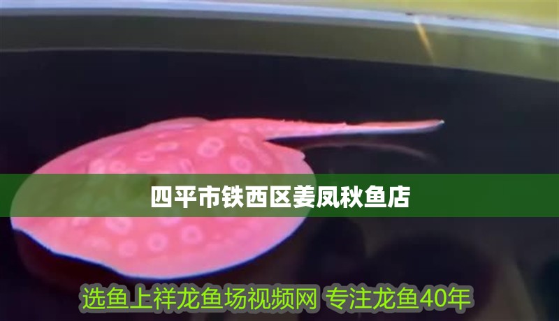 四平市鐵西區姜鳳秋魚店